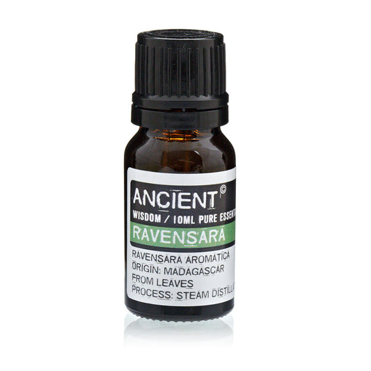 Ravensara Eterisk Olja 10 ml Ancient Wisdom